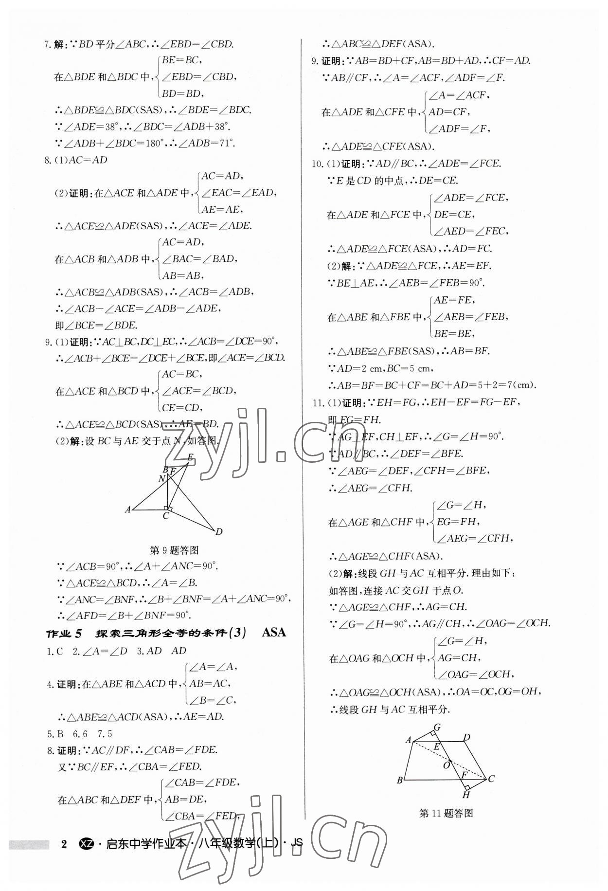 2023年启东中学作业本八年级数学上册苏科版徐州专版 第2页