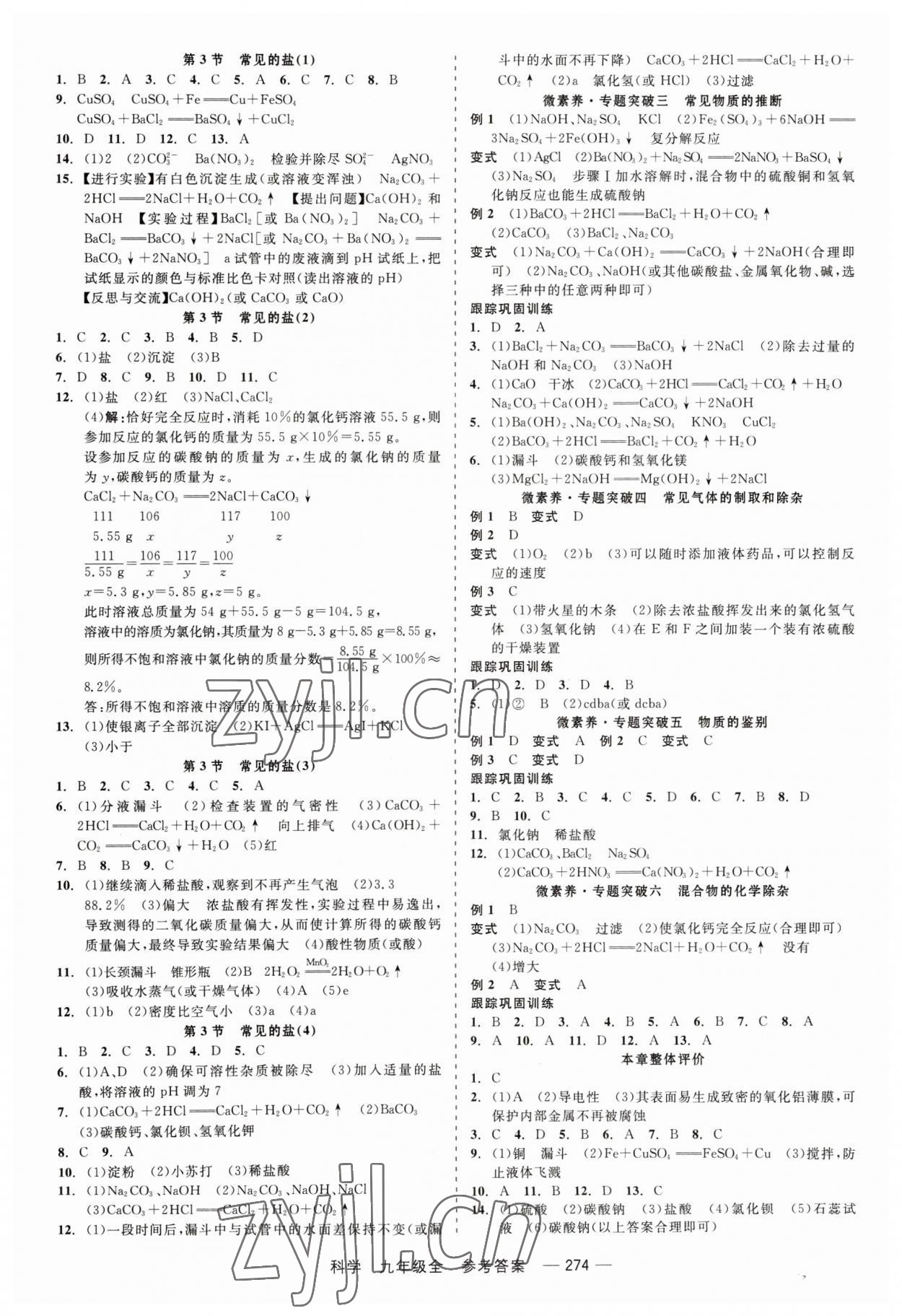 2023年精彩練習(xí)就練這一本九年級科學(xué)全一冊華師大版 第4頁