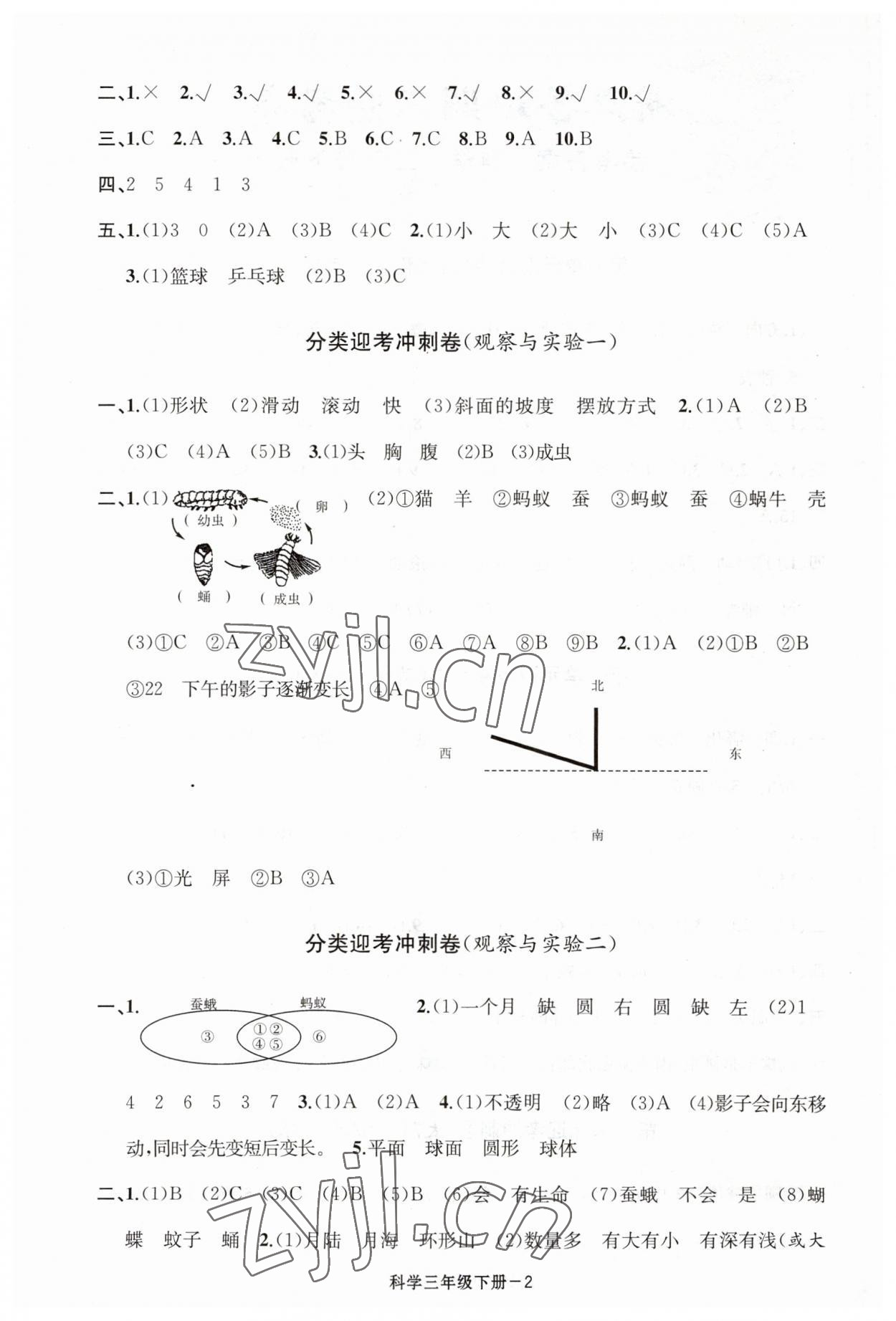 2023年浙江各地期末迎考卷三年級科學(xué)下冊教科版 第2頁