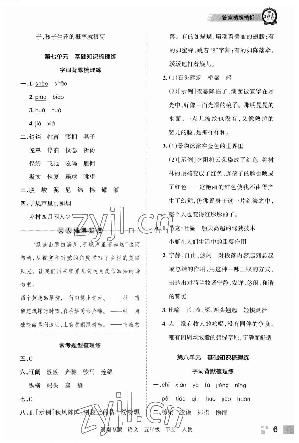 2023年王朝霞各地期末試卷精選五年級語文下冊人教版河南專版 參考答案第6頁