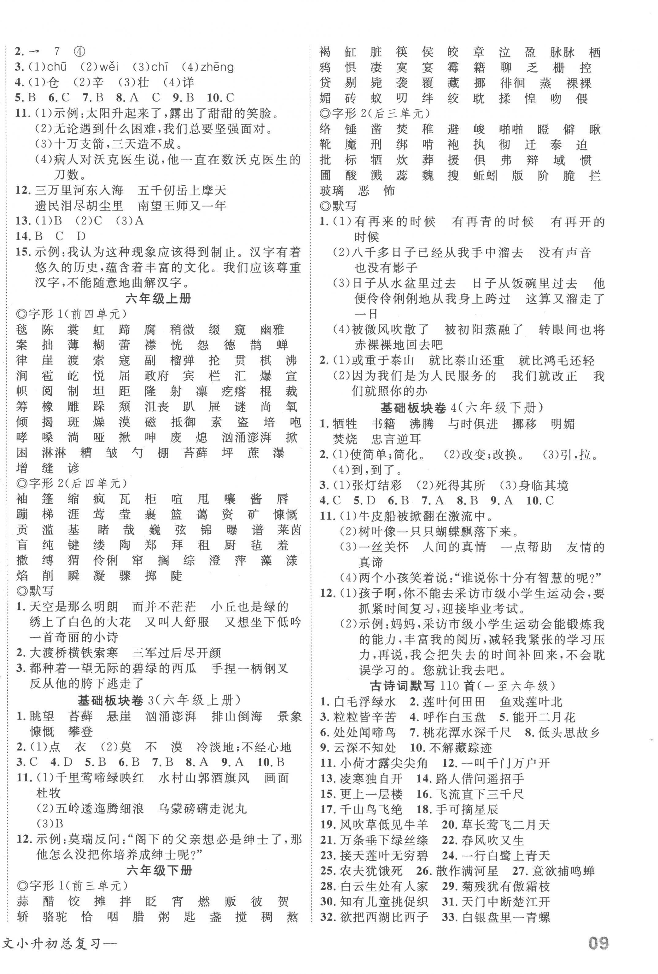 2023年探究樂園高效課堂小升初總復(fù)習(xí)語文 第2頁