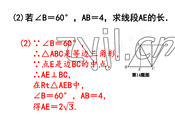 2023年一本通武汉出版社九年级数学上册北师大版 参考答案第13页