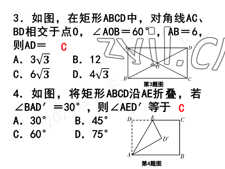 2023年一本通武汉出版社九年级数学上册北师大版 参考答案第31页