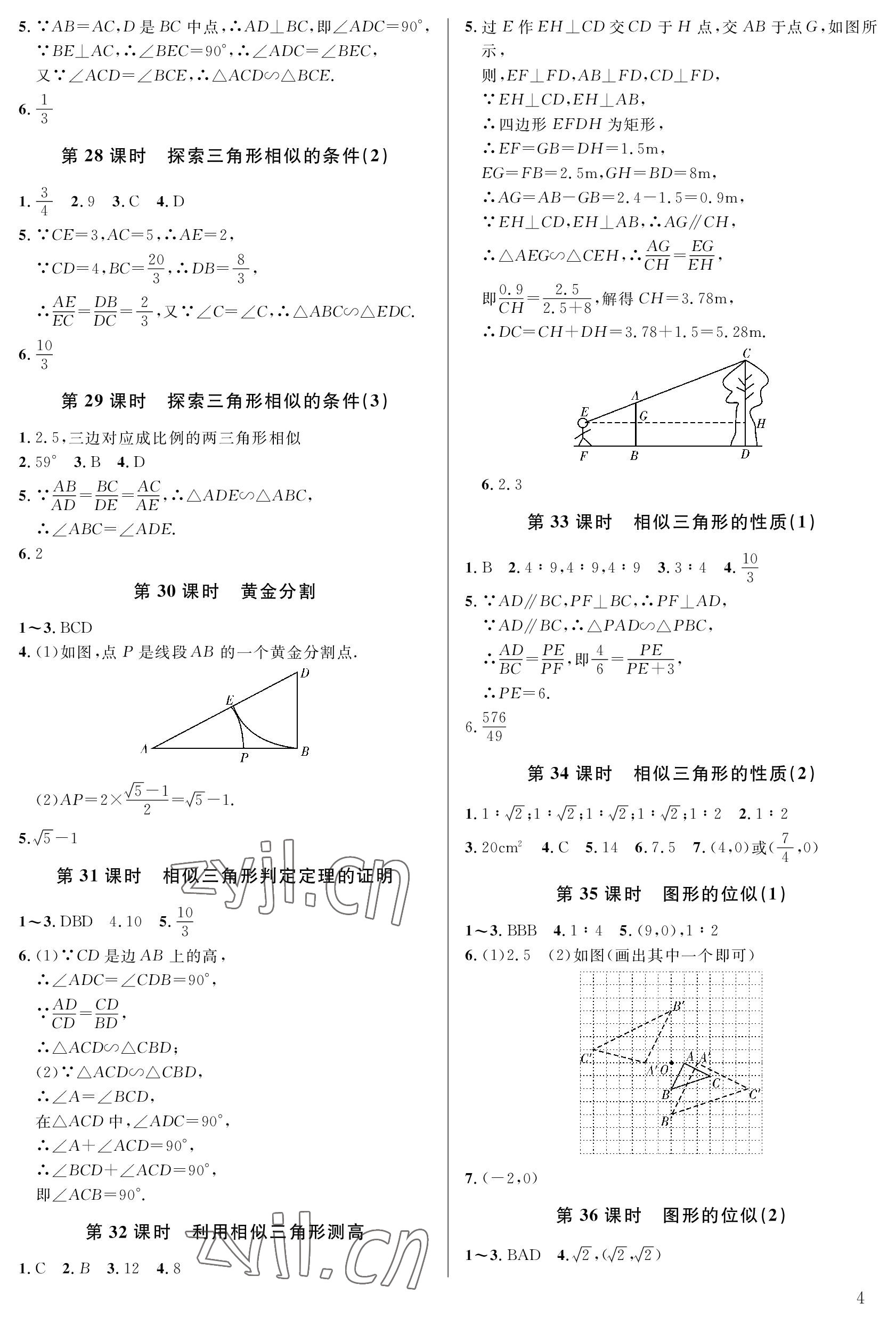 2023年一本通武汉出版社九年级数学上册北师大版 参考答案第4页