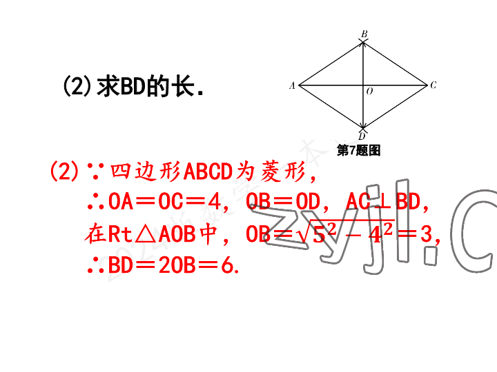 2023年一本通武汉出版社九年级数学上册北师大版 参考答案第7页