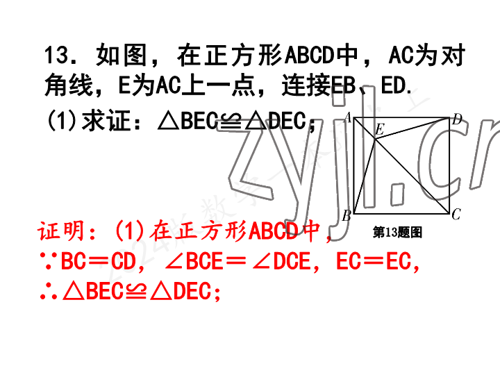 2023年一本通武漢出版社九年級數(shù)學(xué)上冊北師大版 參考答案第56頁