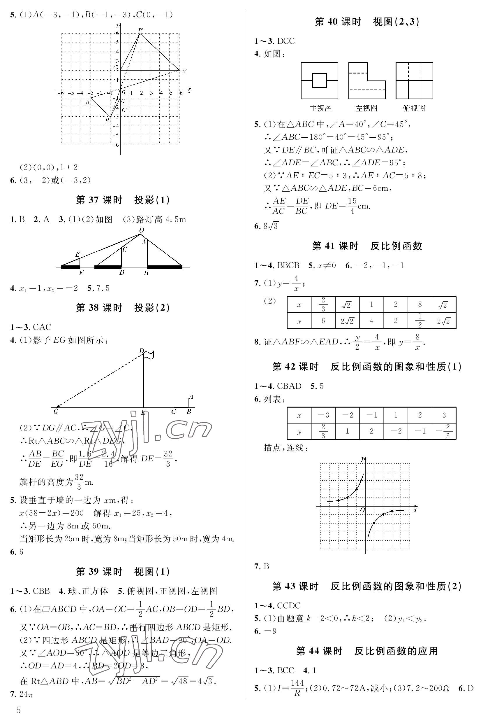 2023年一本通武漢出版社九年級數(shù)學(xué)上冊北師大版 參考答案第5頁