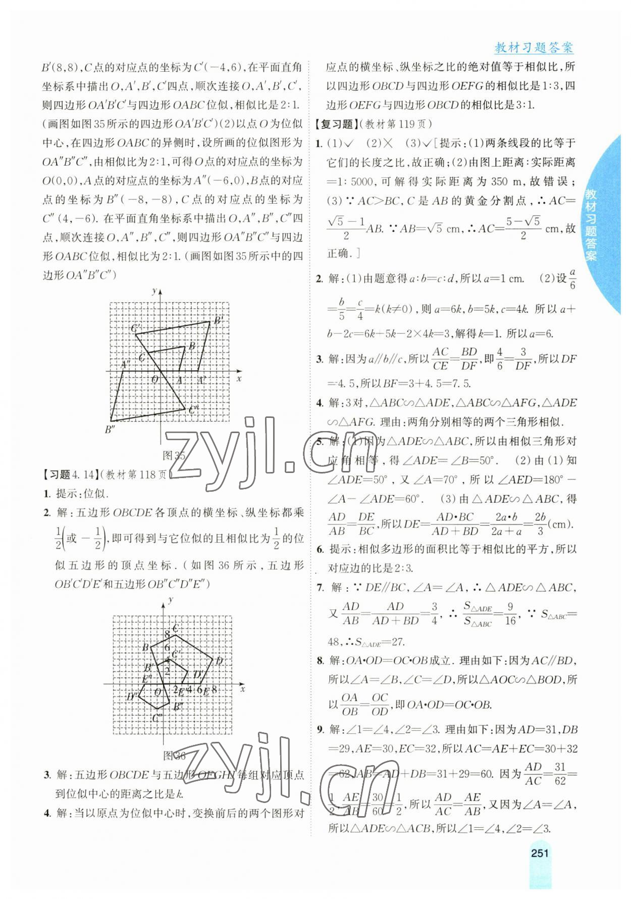 2023年尖子生學案九年級數(shù)學上冊北師大版 參考答案第20頁