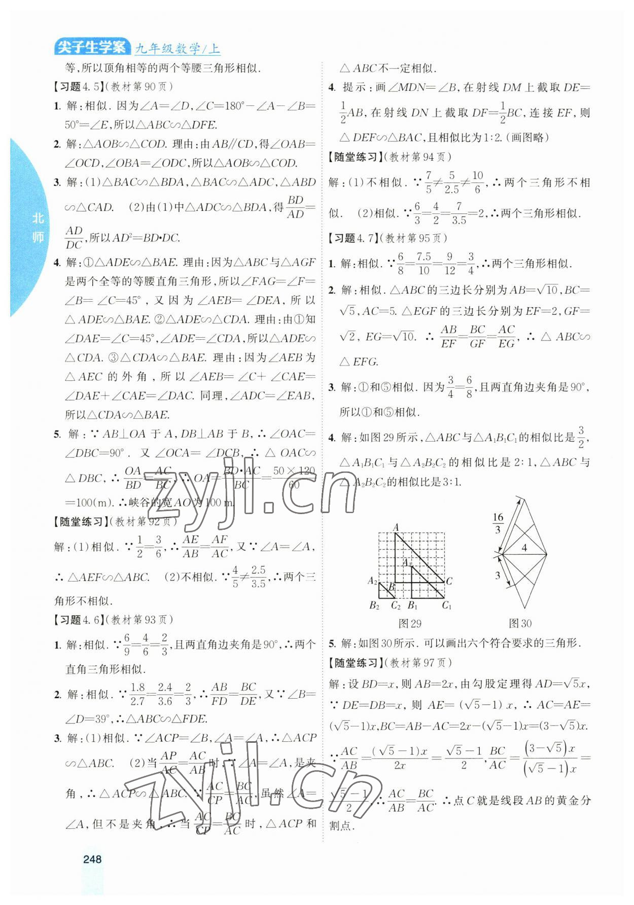 2023年尖子生学案九年级数学上册北师大版 参考答案第17页