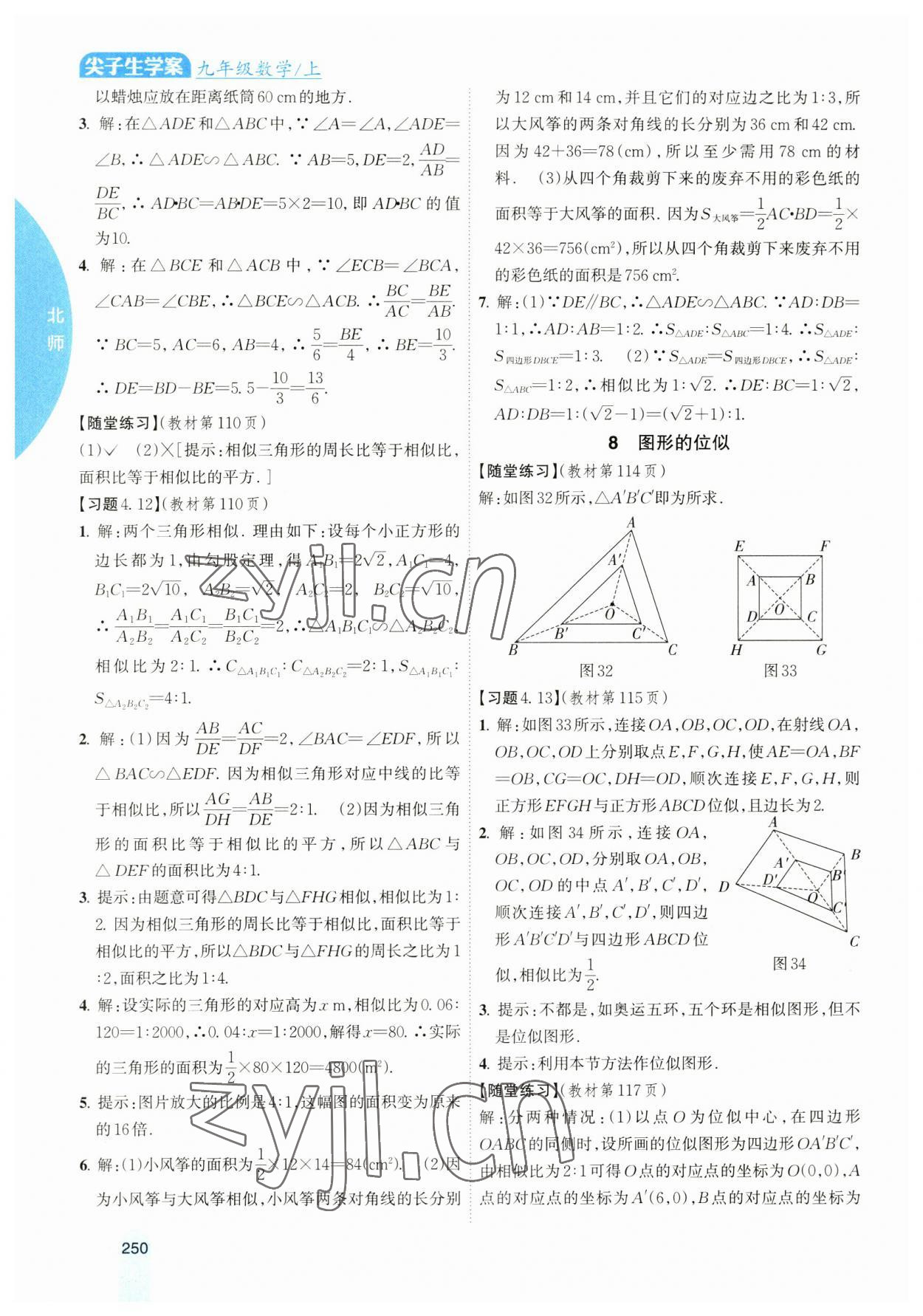 2023年尖子生學(xué)案九年級數(shù)學(xué)上冊北師大版 參考答案第19頁