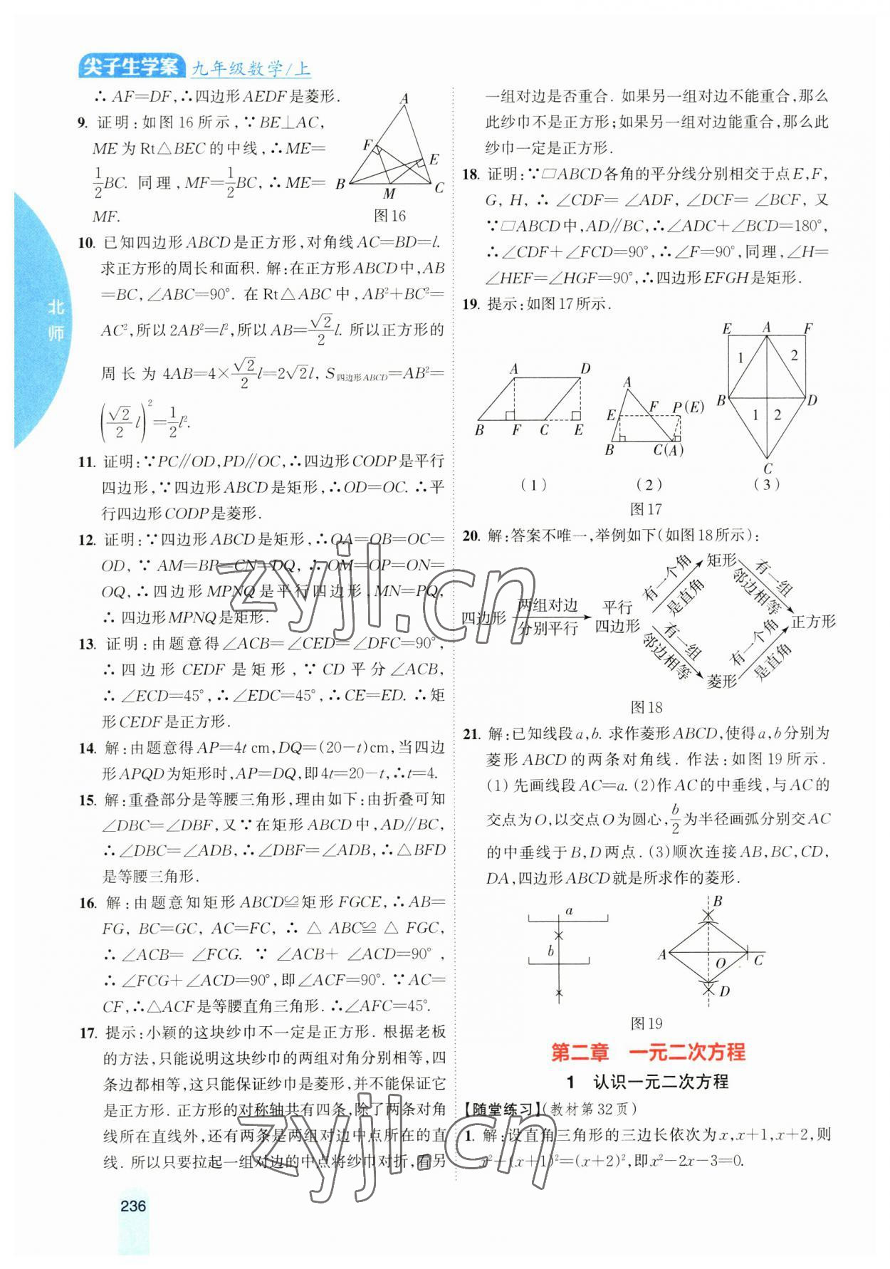 2023年尖子生学案九年级数学上册北师大版 参考答案第5页