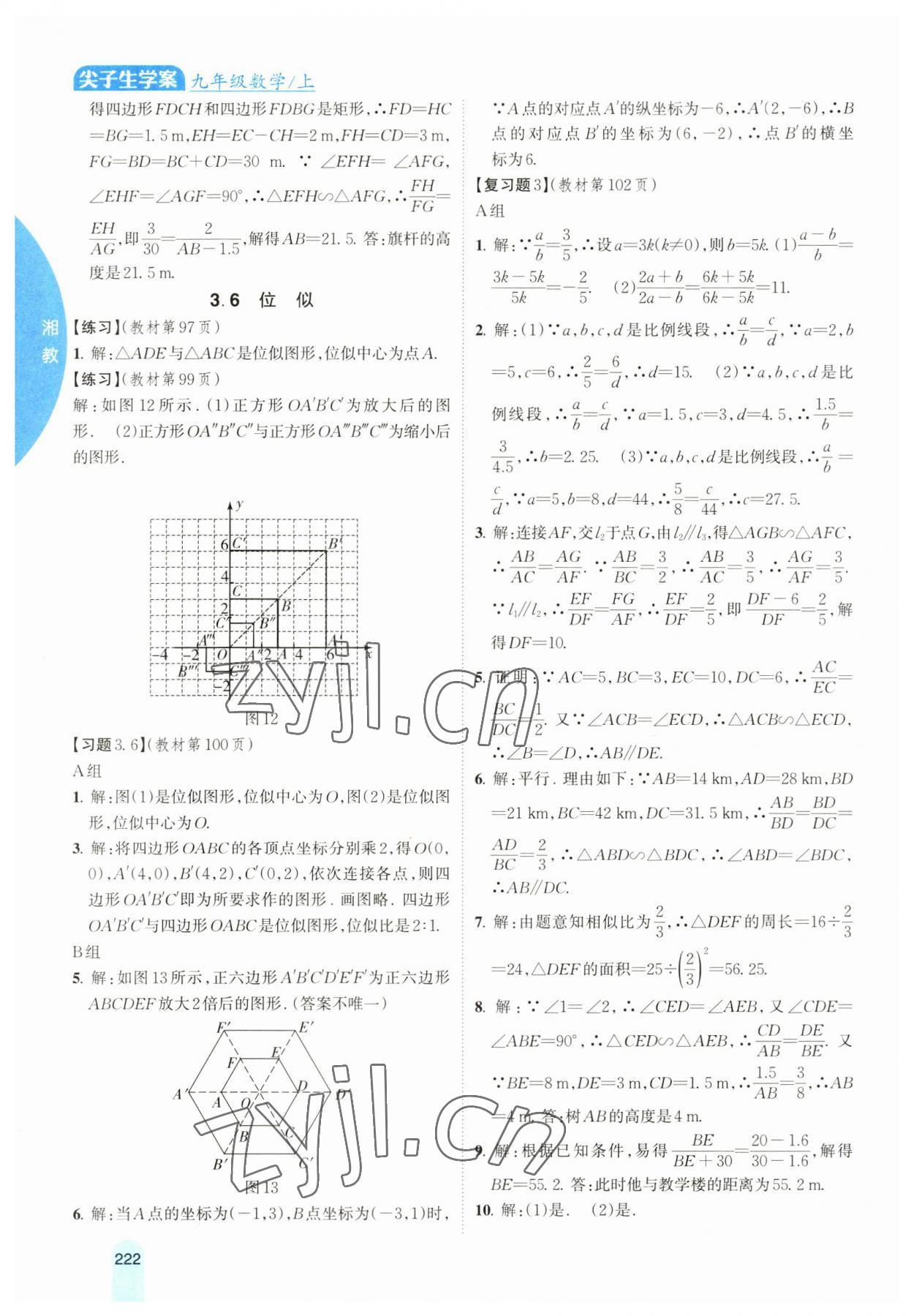 2023年尖子生學案九年級數學上冊湘教版 參考答案第15頁