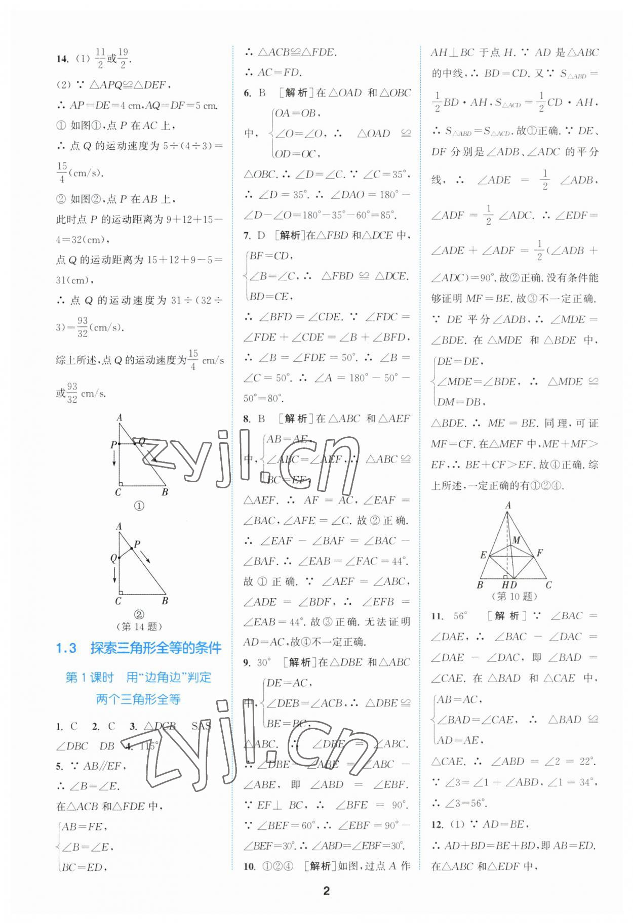 2023年拔尖特训八年级数学上册苏科版 参考答案第2页