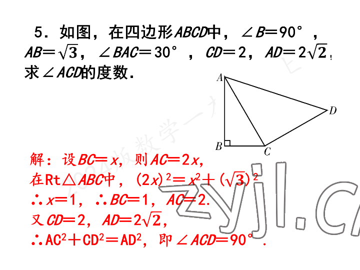 2023年一本通武汉出版社八年级数学上册北师大版 参考答案第13页