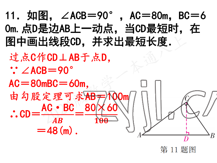 2023年一本通武汉出版社八年级数学上册北师大版 参考答案第27页