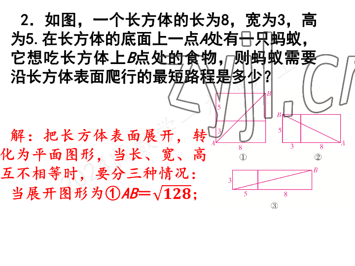 2023年一本通武汉出版社八年级数学上册北师大版 参考答案第24页