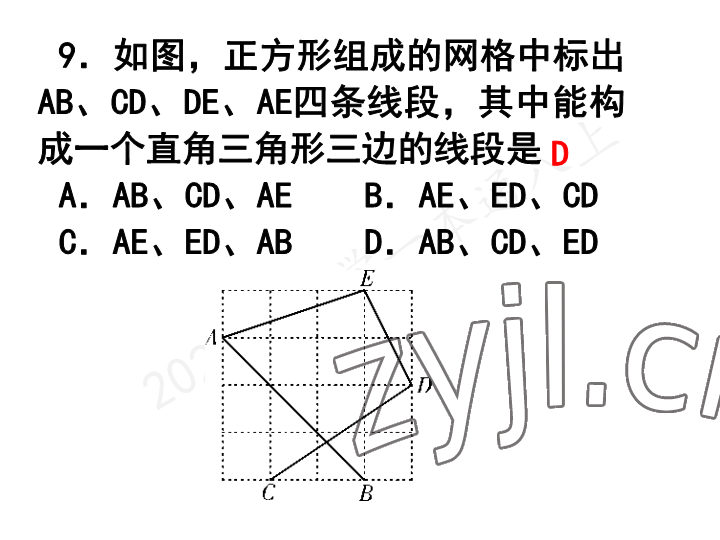 2023年一本通武汉出版社八年级数学上册北师大版 参考答案第23页