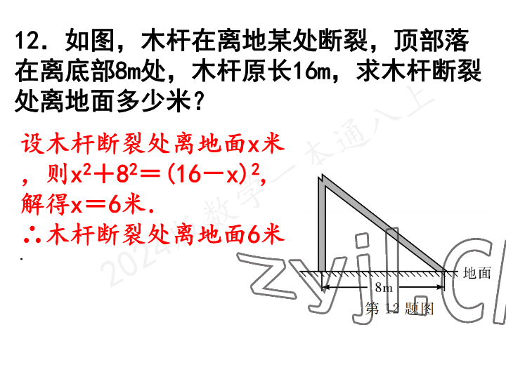 2023年一本通武汉出版社八年级数学上册北师大版 参考答案第13页