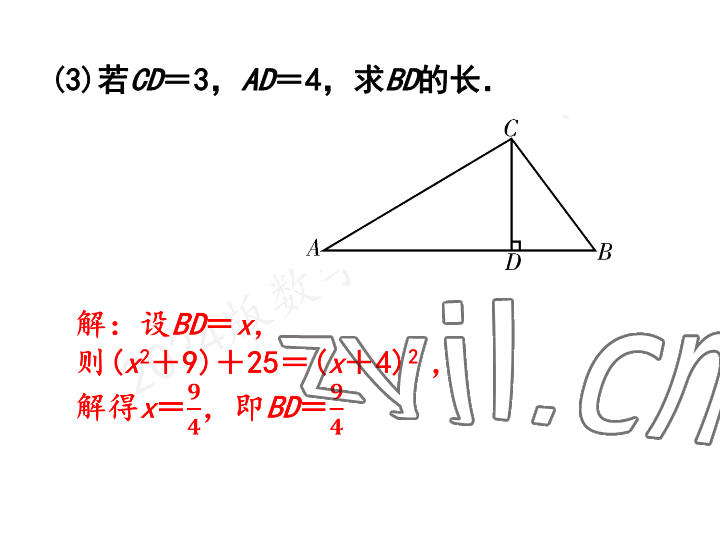 2023年一本通武汉出版社八年级数学上册北师大版 参考答案第7页