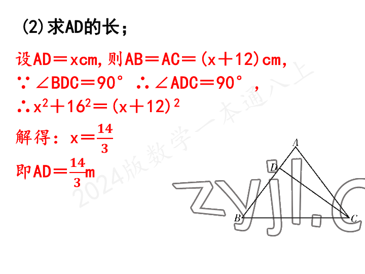 2023年一本通武漢出版社八年級(jí)數(shù)學(xué)上冊(cè)北師大版 參考答案第27頁(yè)