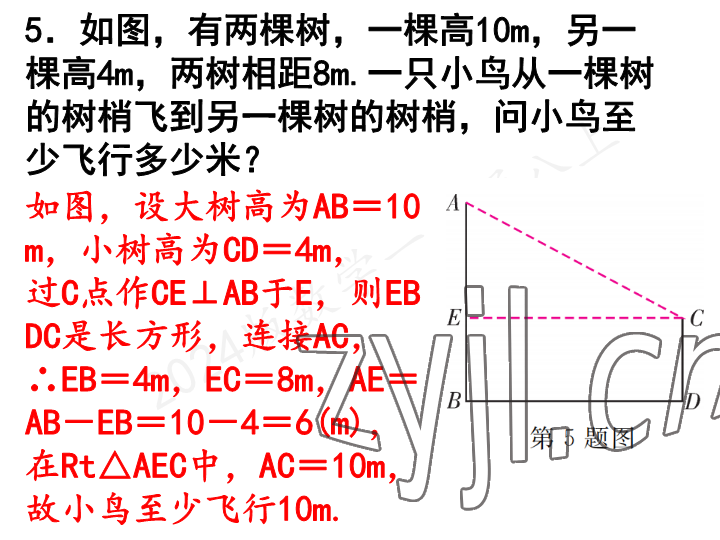 2023年一本通武汉出版社八年级数学上册北师大版 参考答案第20页