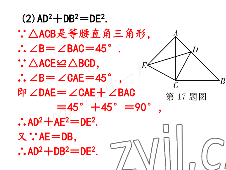 2023年一本通武汉出版社八年级数学上册北师大版 参考答案第14页