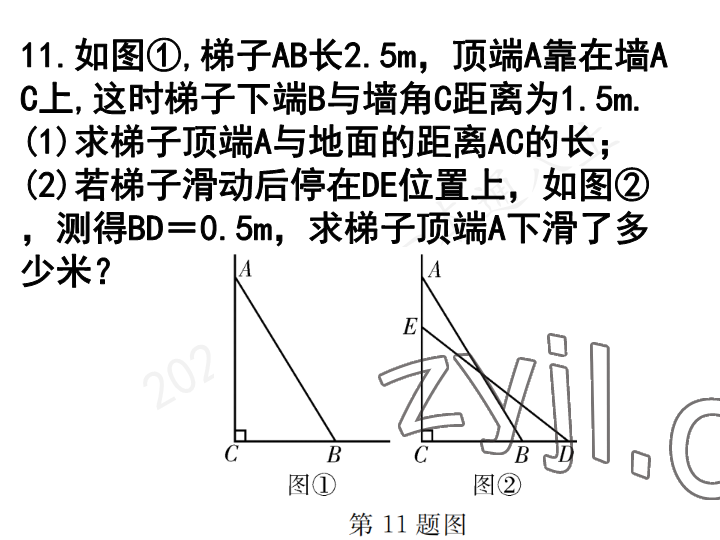 2023年一本通武漢出版社八年級(jí)數(shù)學(xué)上冊(cè)北師大版 參考答案第11頁(yè)