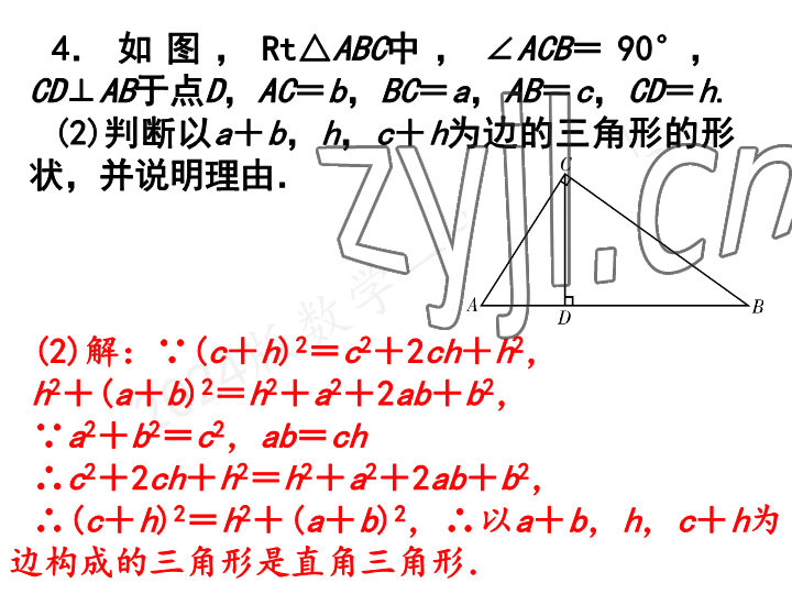 2023年一本通武汉出版社八年级数学上册北师大版 参考答案第48页