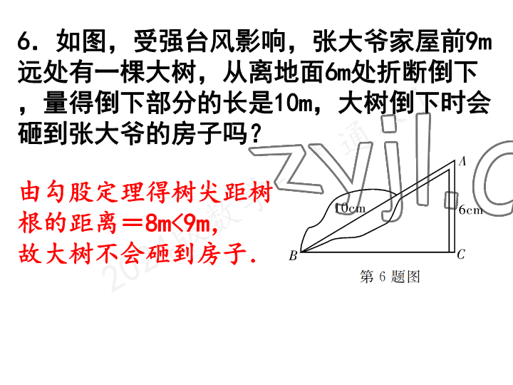 2023年一本通武汉出版社八年级数学上册北师大版 参考答案第6页