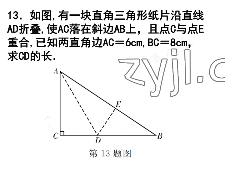 2023年一本通武漢出版社八年級(jí)數(shù)學(xué)上冊(cè)北師大版 參考答案第14頁(yè)