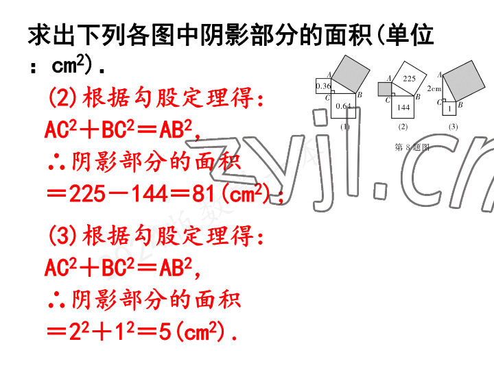 2023年一本通武汉出版社八年级数学上册北师大版 参考答案第5页