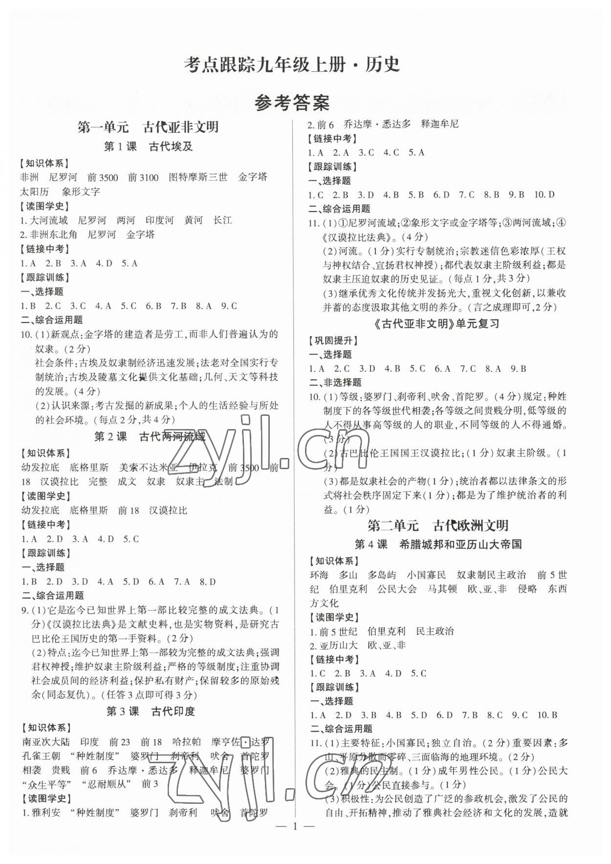 2023年考點(diǎn)跟蹤同步訓(xùn)練九年級歷史上冊人教版 第1頁