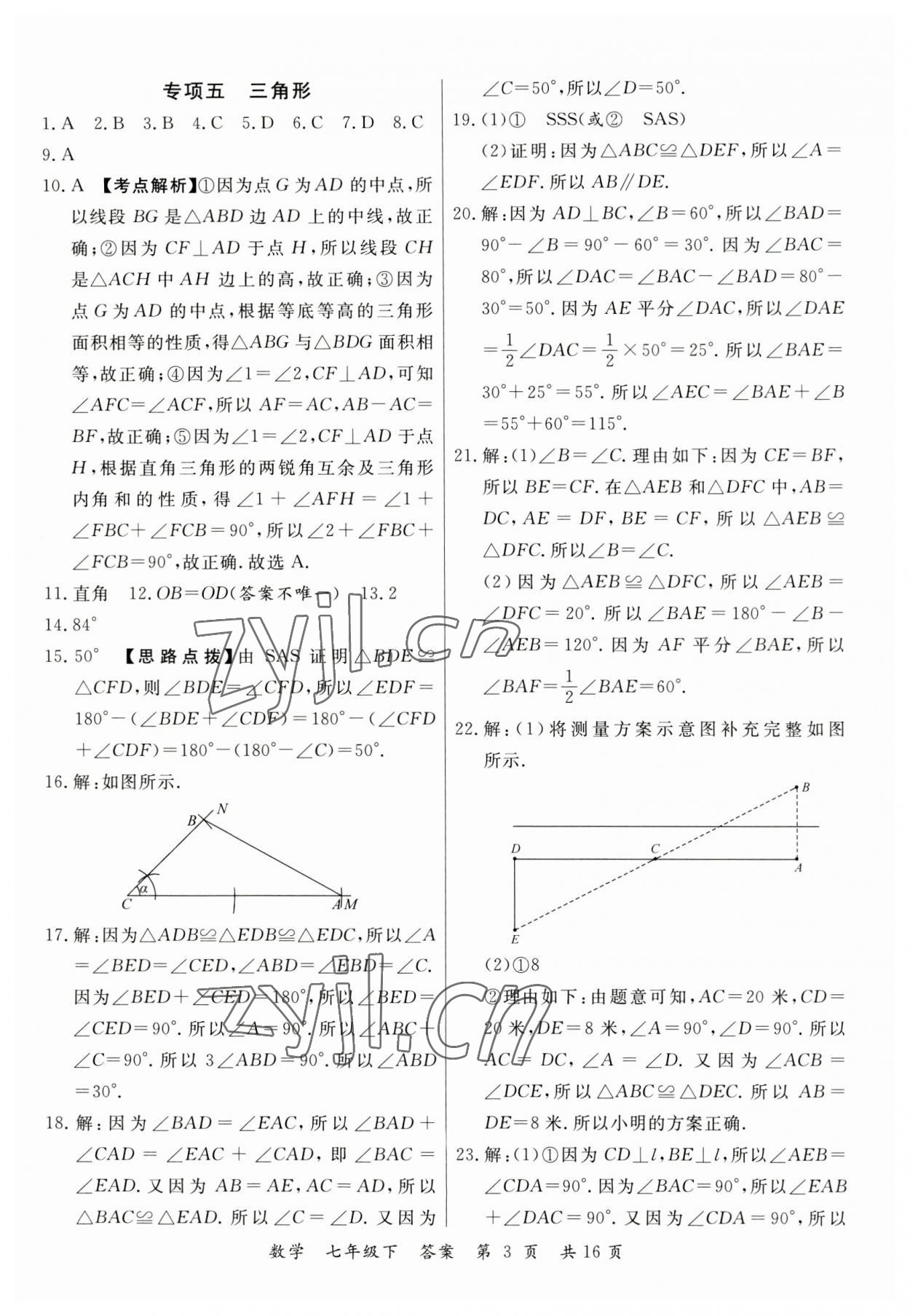 2023年品至教育一線優(yōu)選卷七年級數(shù)學下冊北師大版 第3頁