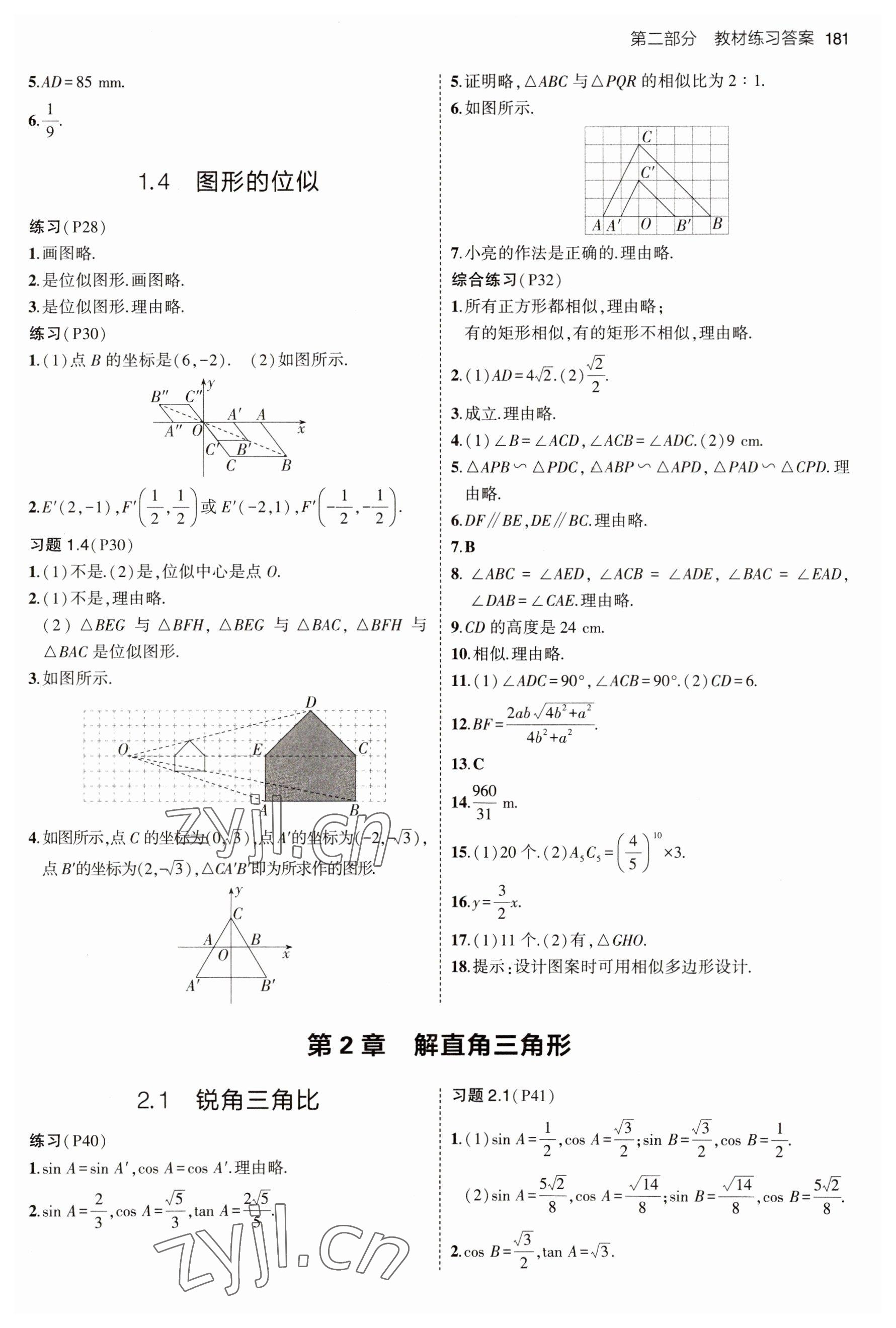 2023年教材課本九年級(jí)數(shù)學(xué)上冊(cè)青島版 參考答案第2頁(yè)