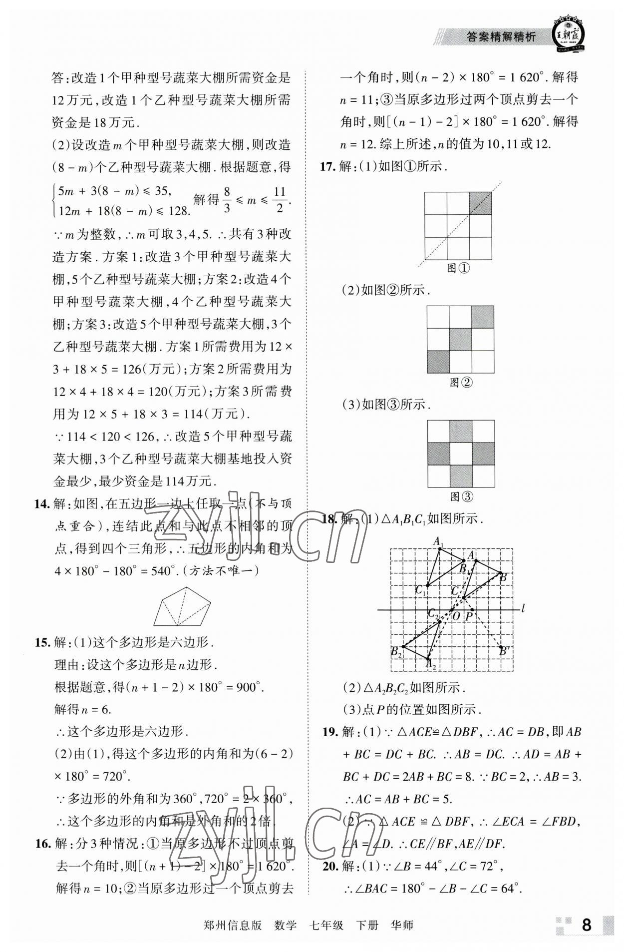 2023年王朝霞期末真題精編七年級數(shù)學下冊華師大版鄭州專版 參考答案第8頁