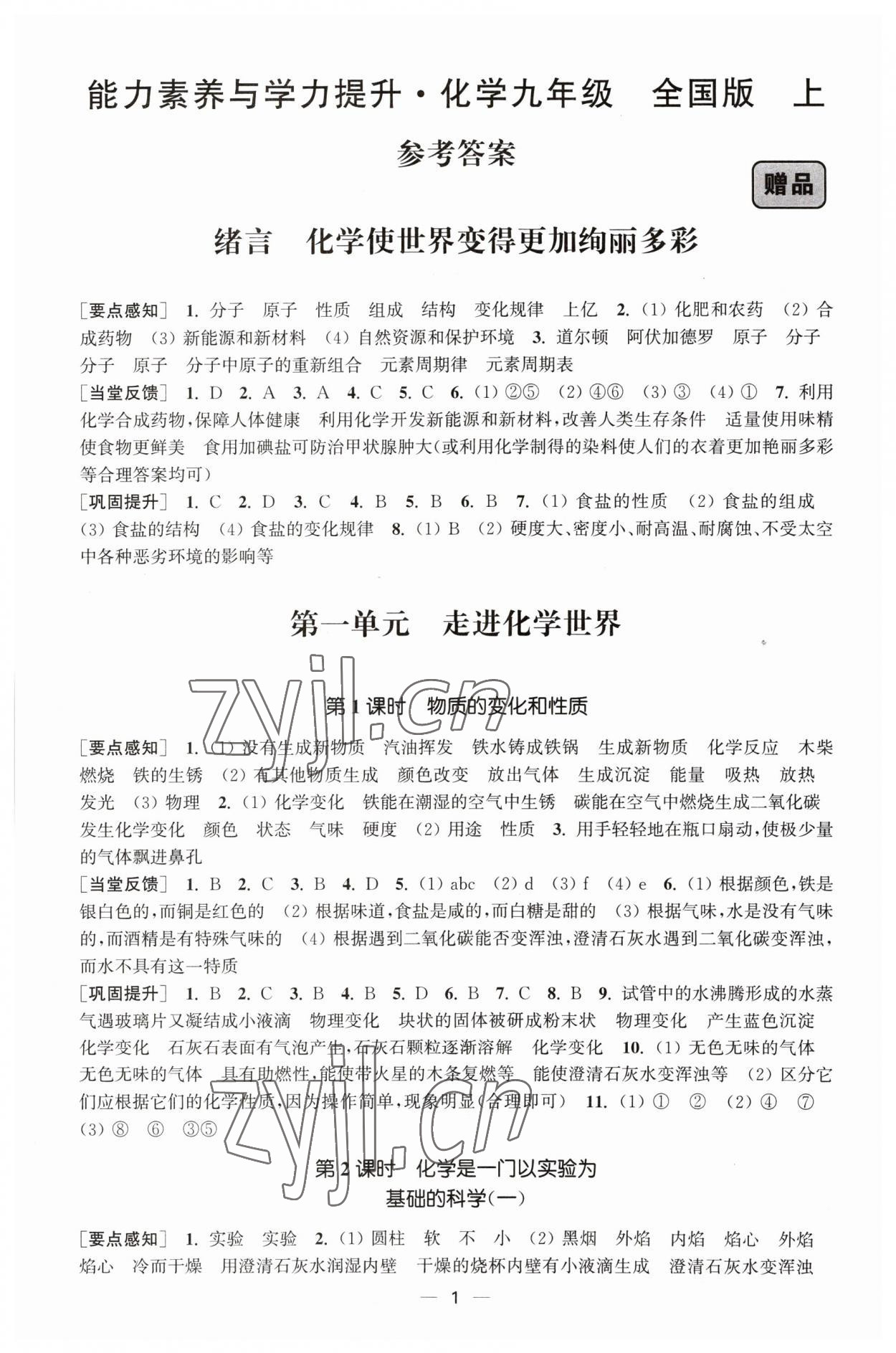 2023年能力素養(yǎng)與學(xué)力提升九年級化學(xué)上冊人教版 第1頁