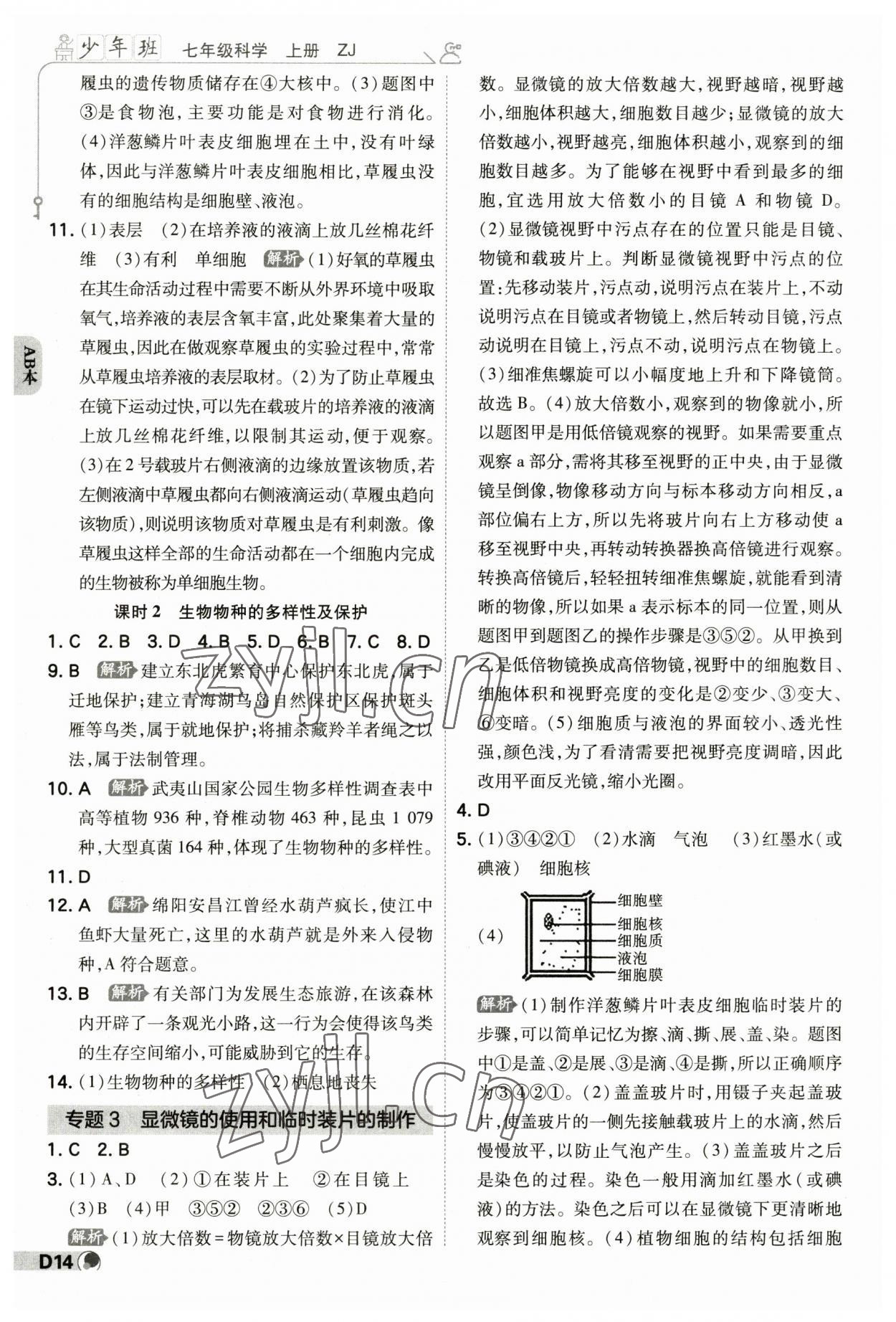 2023年少年班七年級科學上冊浙教版 參考答案第13頁