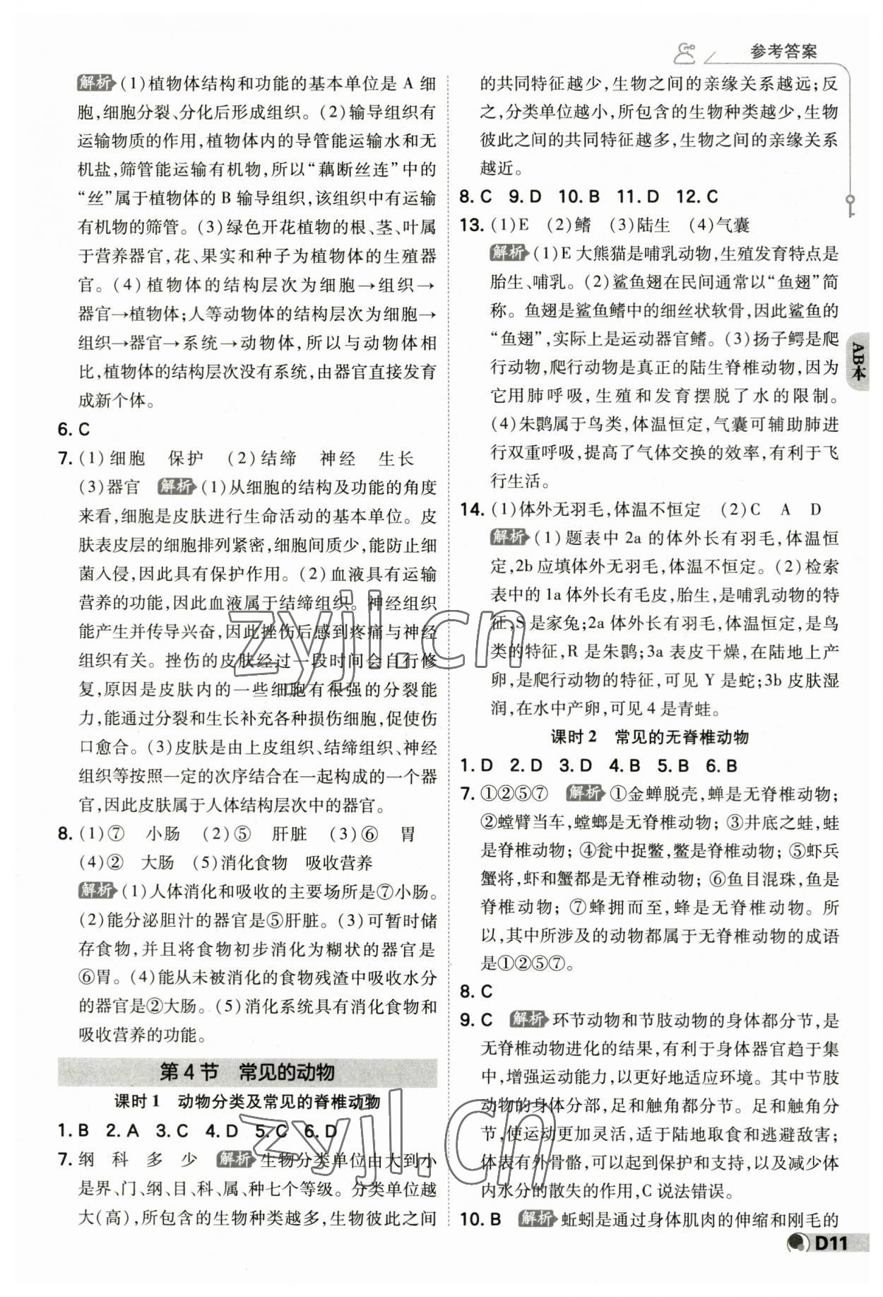 2023年少年班七年級科學上冊浙教版 參考答案第10頁