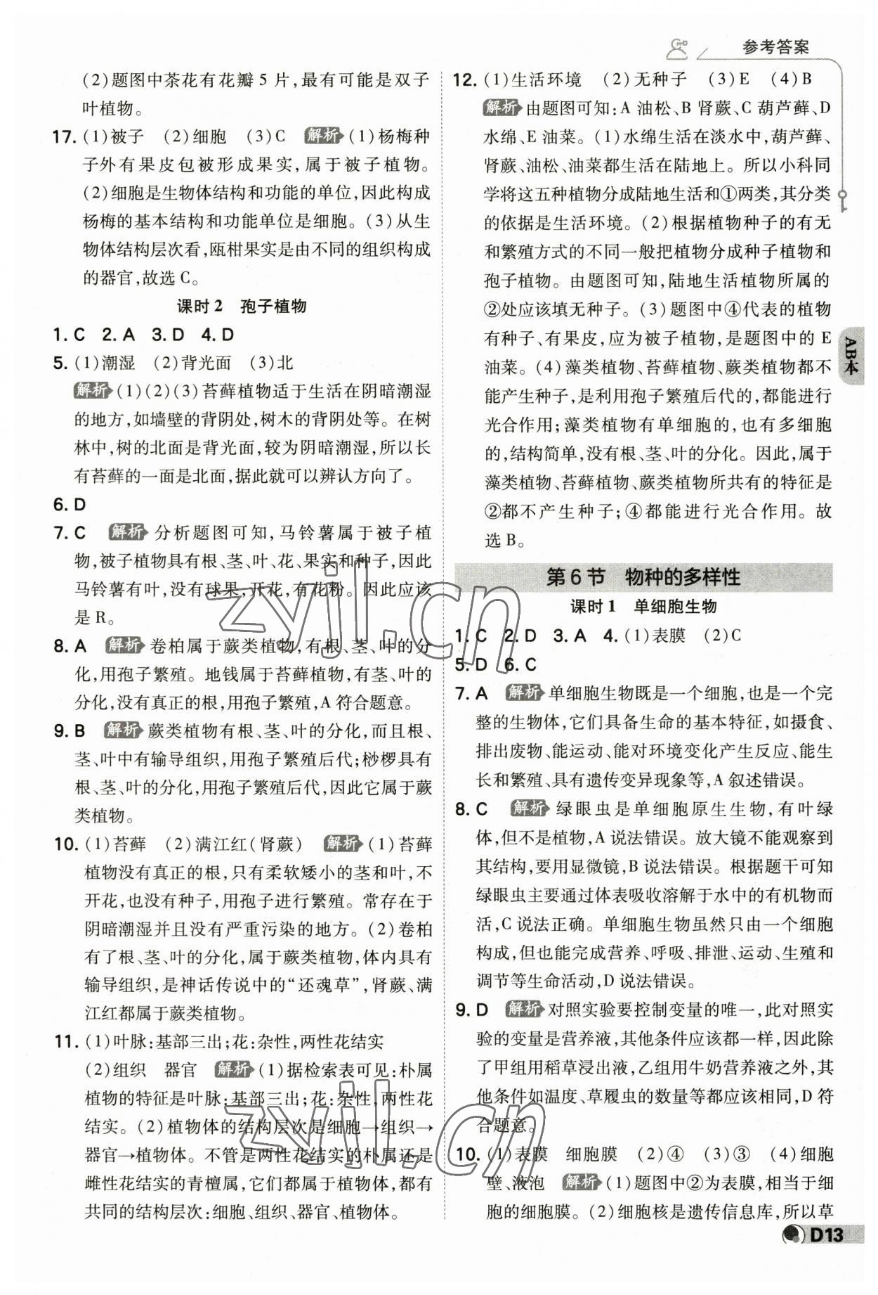 2023年少年班七年級科學上冊浙教版 參考答案第12頁