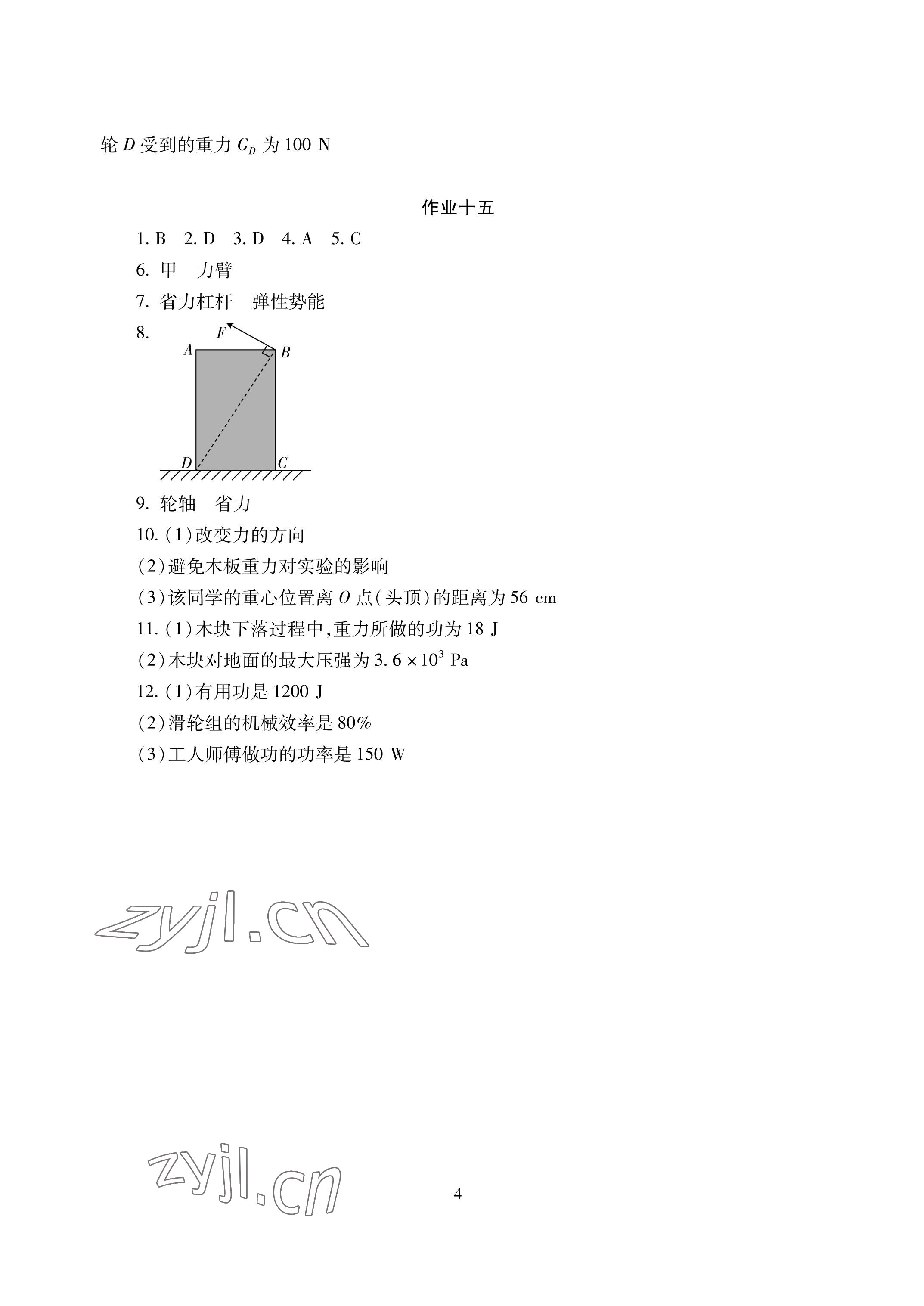 2023年暑假生活八年级副科湖南少年儿童出版社 参考答案第4页