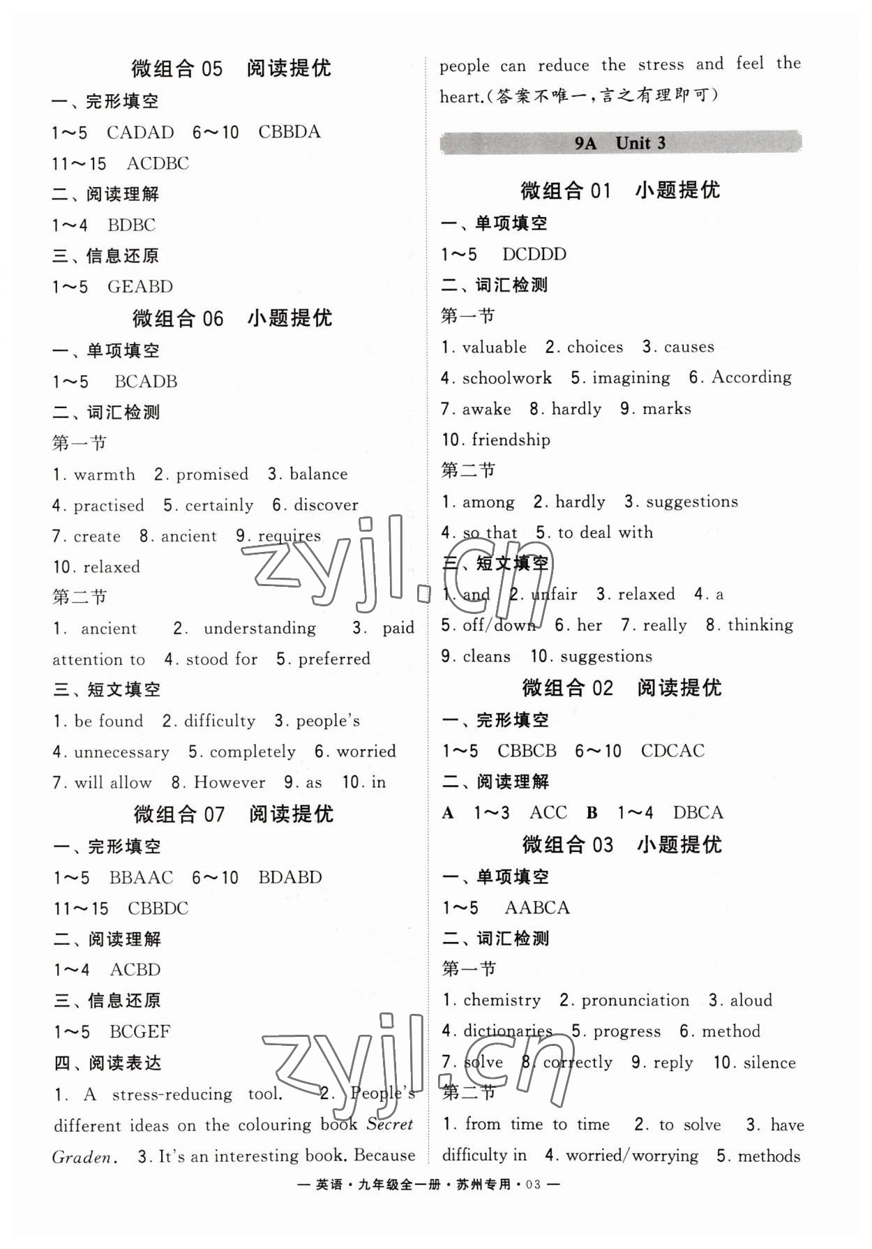 2023年學(xué)霸組合訓(xùn)練九年級(jí)英語(yǔ)全一冊(cè)譯林版蘇州專用 第3頁(yè)