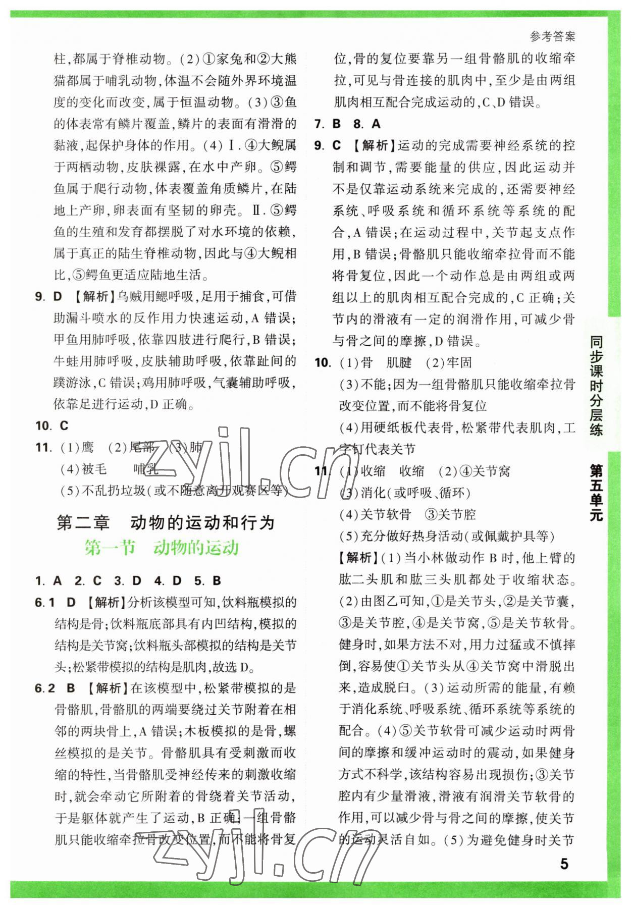 2023年萬唯中考基礎(chǔ)題八年級(jí)生物全一冊(cè)人教版 第5頁