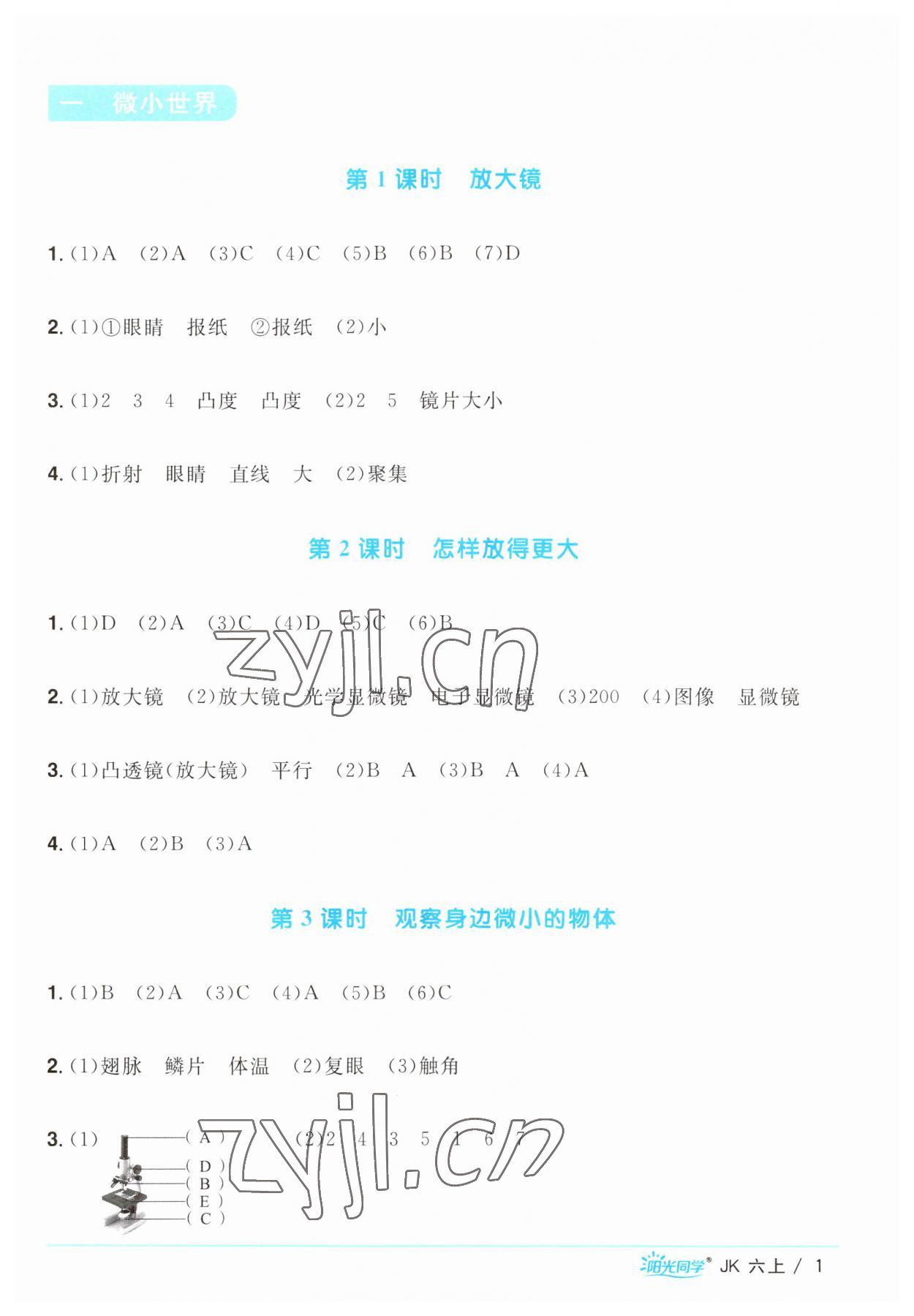 2023年陽光同學(xué)課時優(yōu)化作業(yè)六年級科學(xué)上冊教科版 第1頁