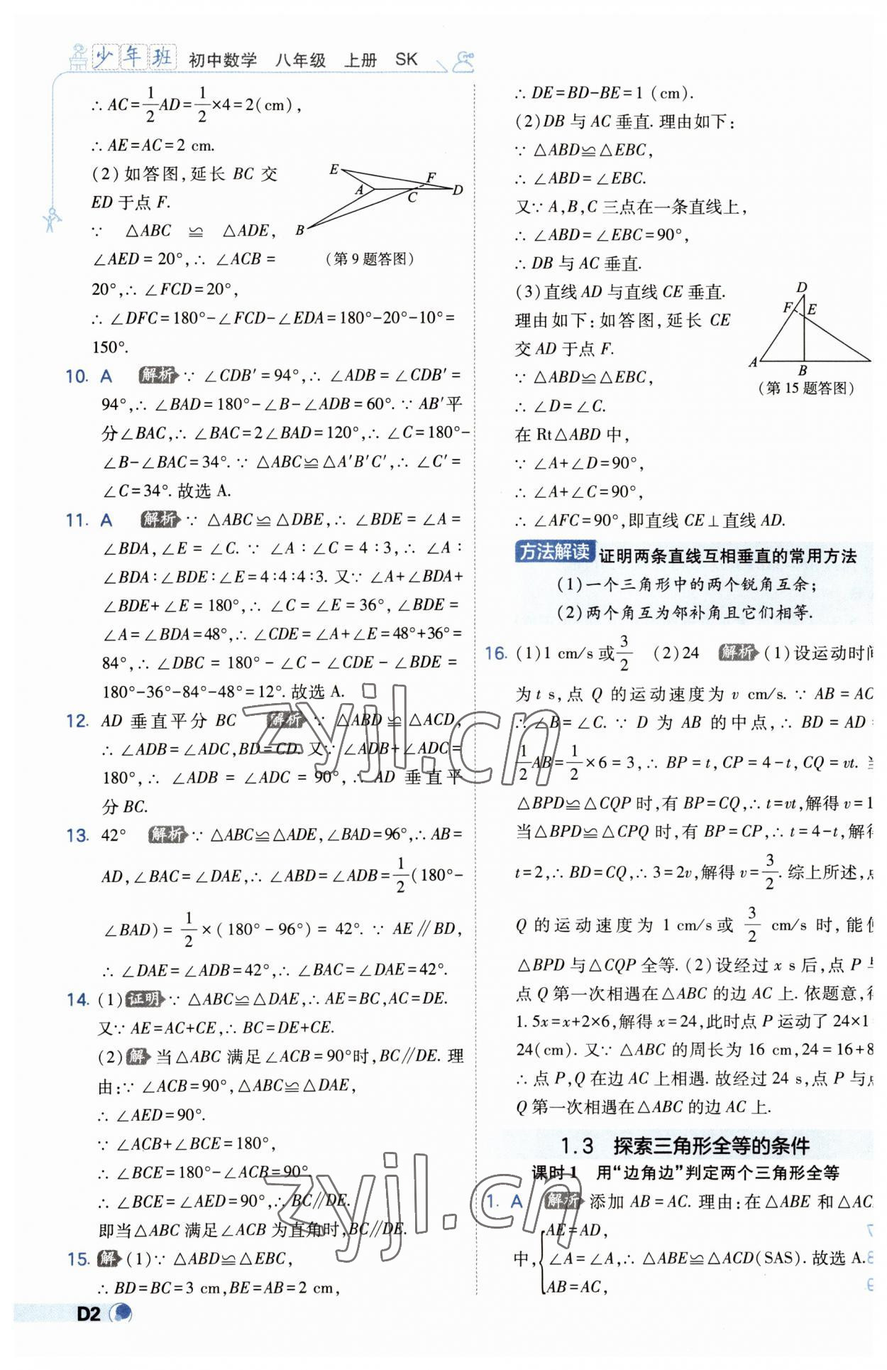 2023年少年班八年级数学上册苏科版 第2页