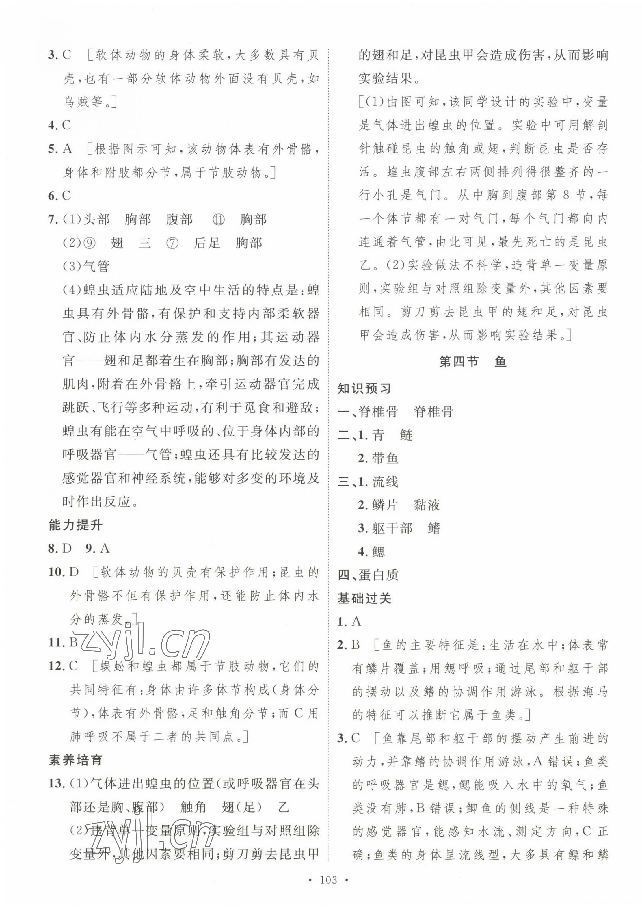 2023年思路教练同步课时作业八年级生物上册人教版 参考答案第3页