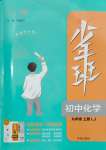 2023年少年班九年級(jí)化學(xué)上冊(cè)魯教版