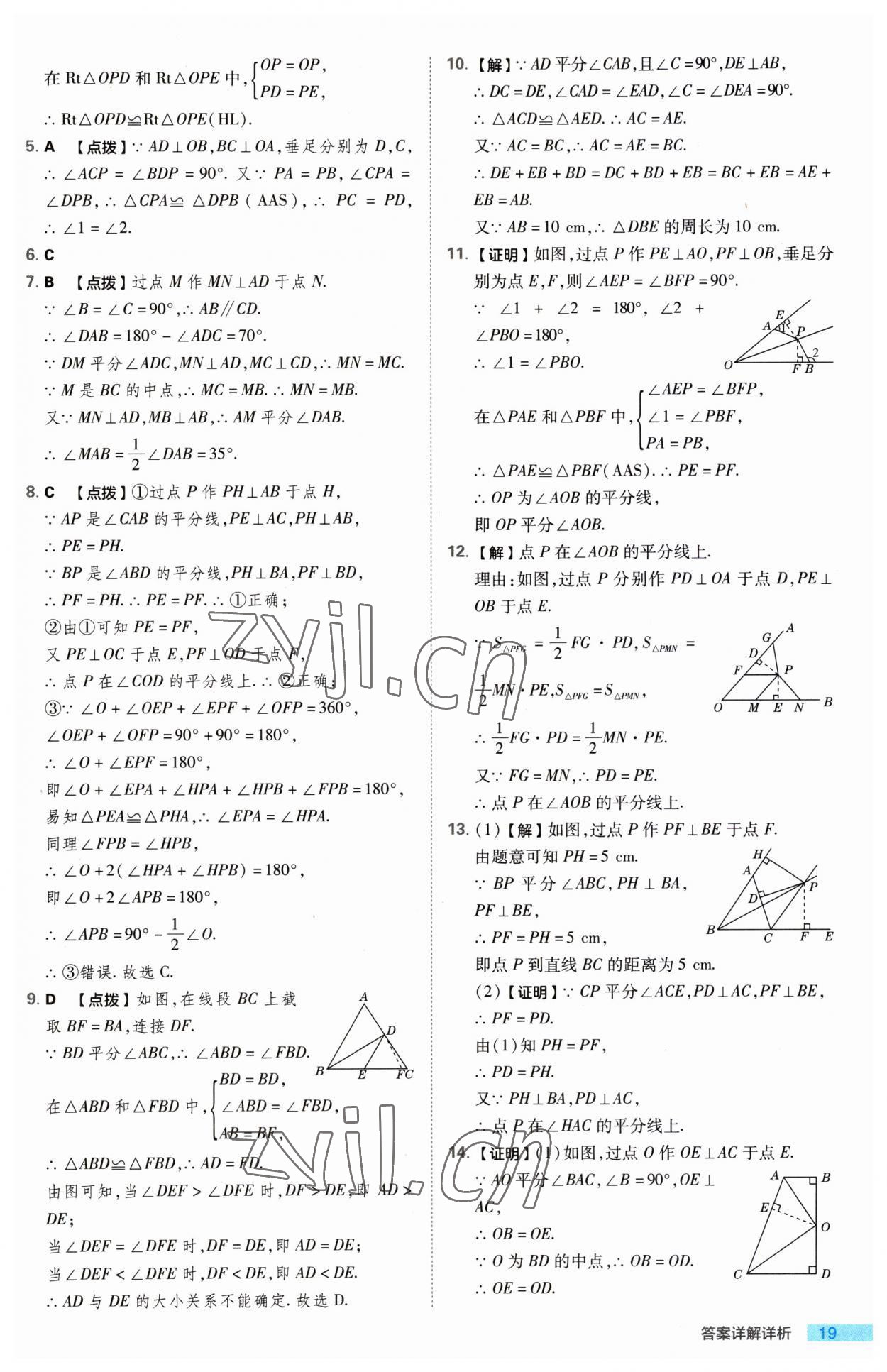 2023年綜合應(yīng)用創(chuàng)新題典中點八年級數(shù)學(xué)上冊蘇科版 第19頁