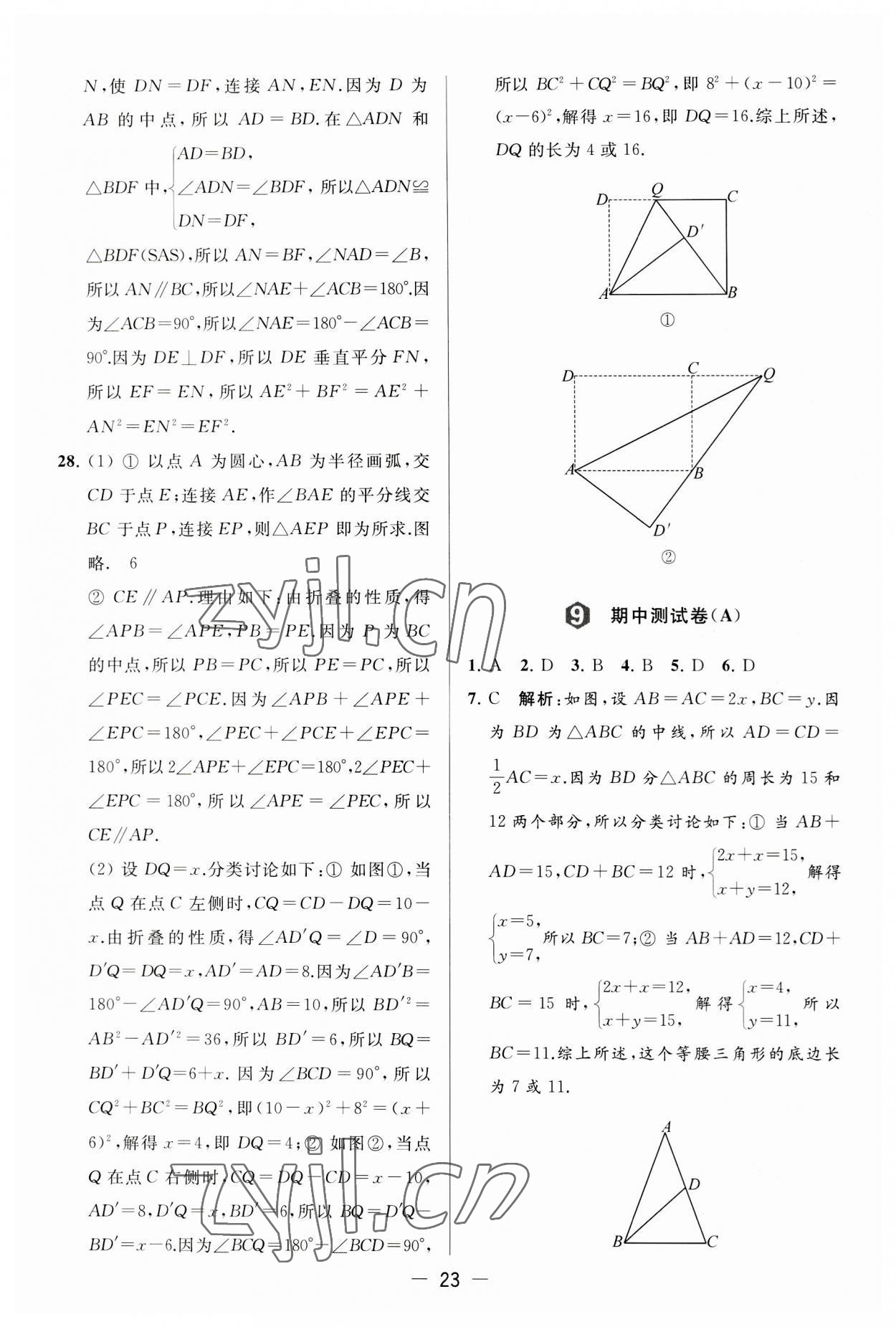 2023年亮点给力大试卷八年级数学上册苏科版 第23页