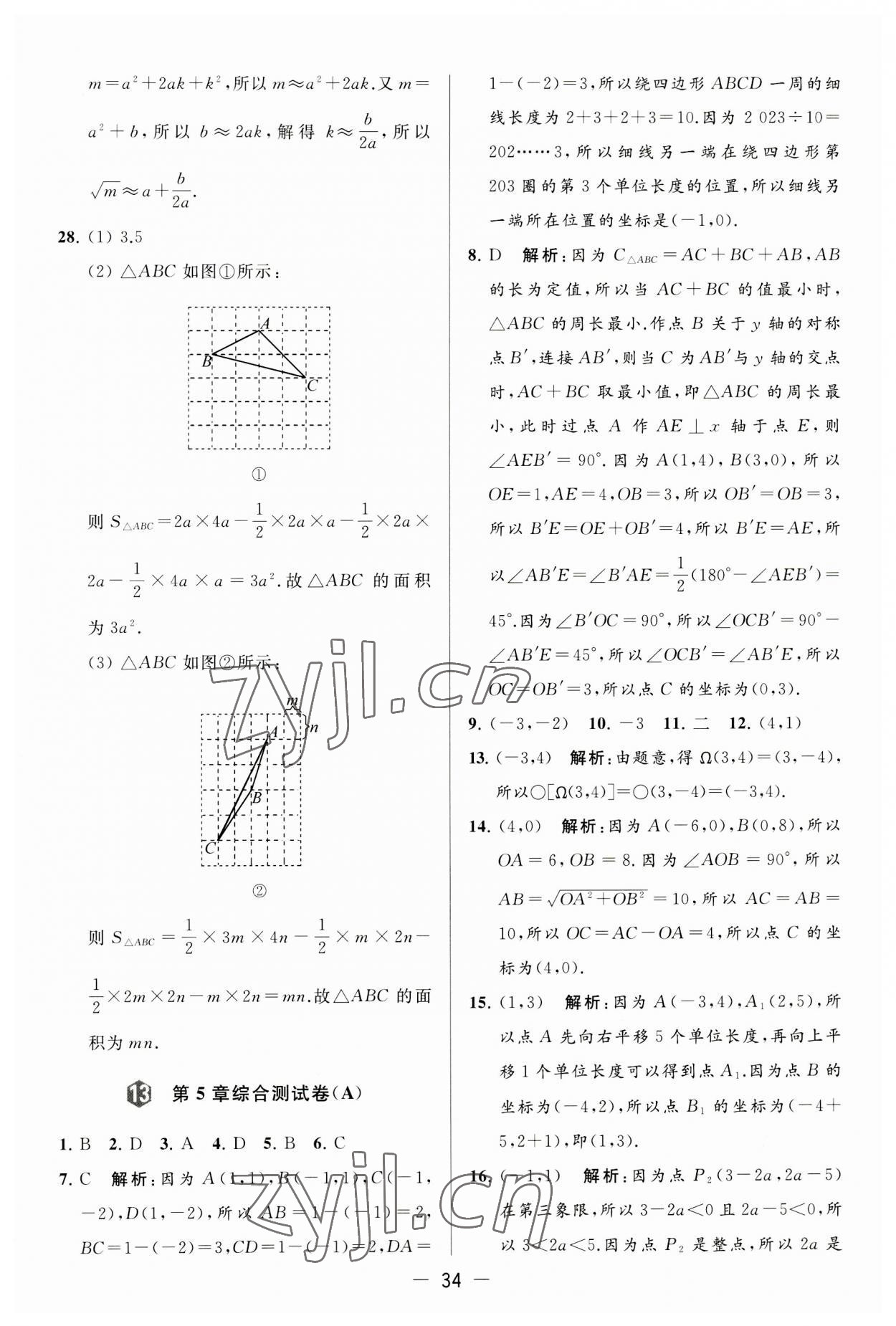 2023年亮点给力大试卷八年级数学上册苏科版 第34页