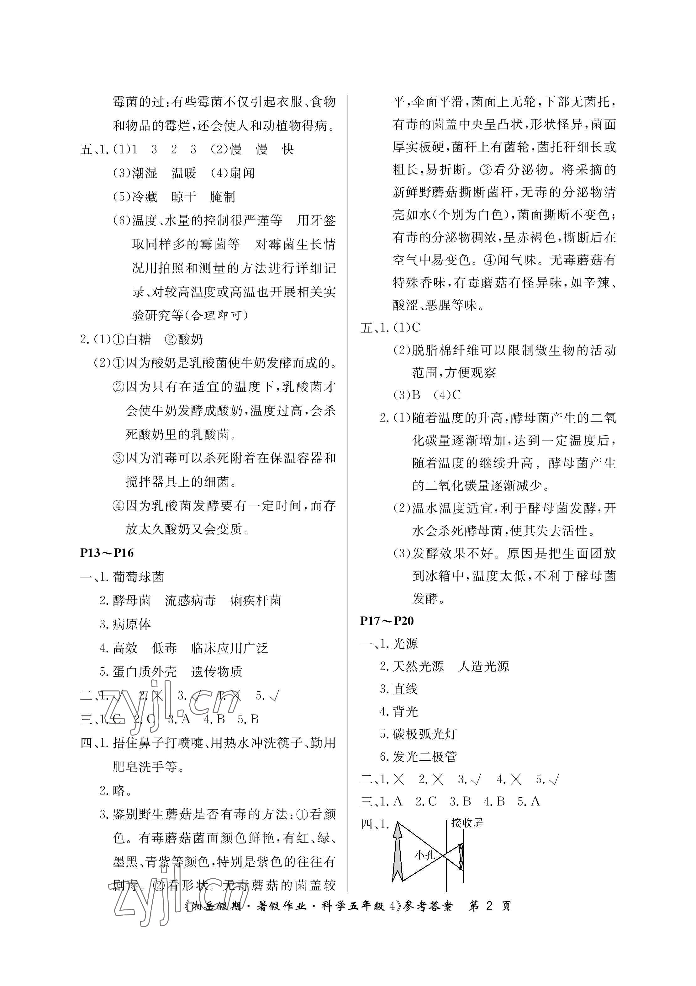 2023年湘岳假期暑假作业五年级科学湘科版第四版 参考答案第2页